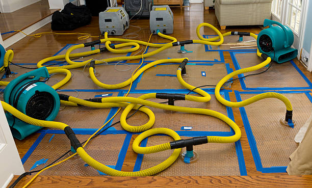 Professional Water Damage Repair technician working in Saint Benedict, OR